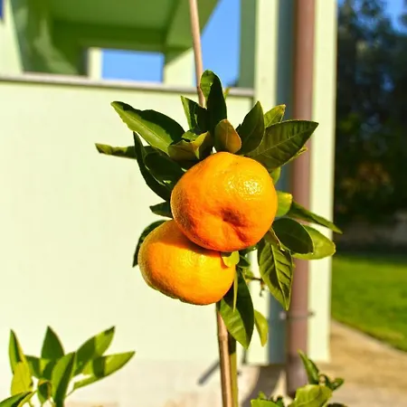 Bernarda 1773 Daire *